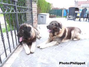 Fury et Furko 32 months